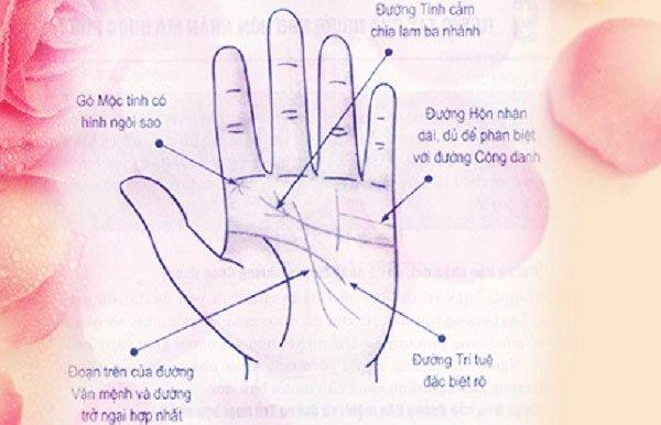 Xem tướng tay nhận diện người được hưởng phú quý sau khi kết hôn | Bói Tử Vi