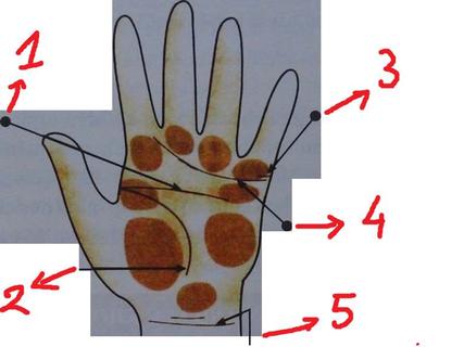 Kiến thức cơ bản trong thuật xem bói tướng tay | Bói Tử Vi