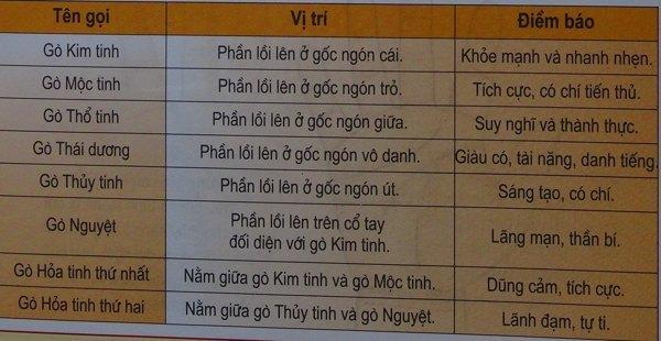Kiến thức cơ bản trong thuật xem bói tướng tay | Bói Tử Vi