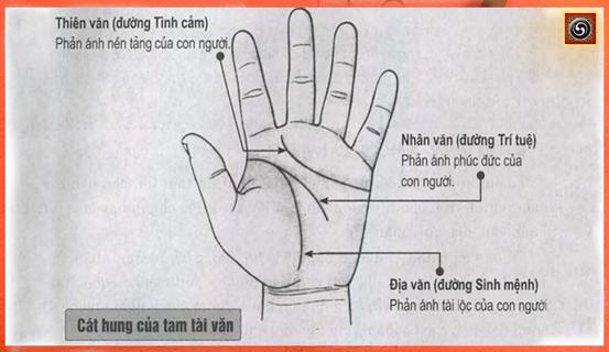 Xem bói chỉ tay, Tam tài vân, đỉnh cao của danh lợi | Bói Tử Vi