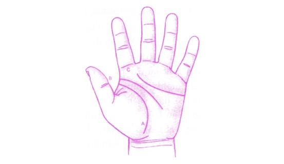 Tướng tay giúp bạn lựa chọn đúng nghành nghề | Bói Tử Vi