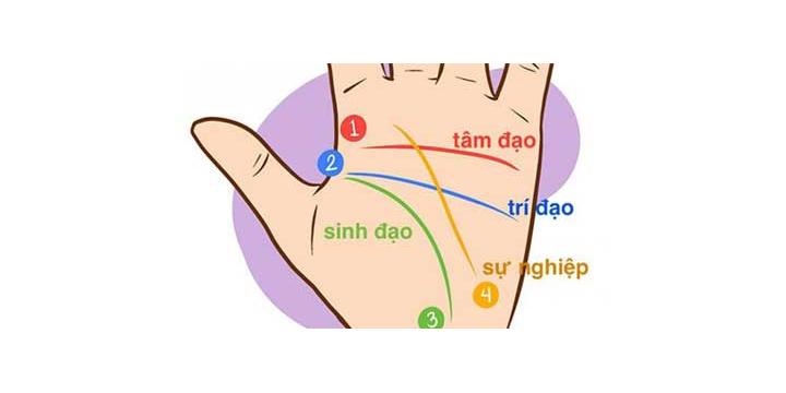 Xem bói chỉ tay đường công danh sự nghiệp của bạn. | Bói Tử Vi