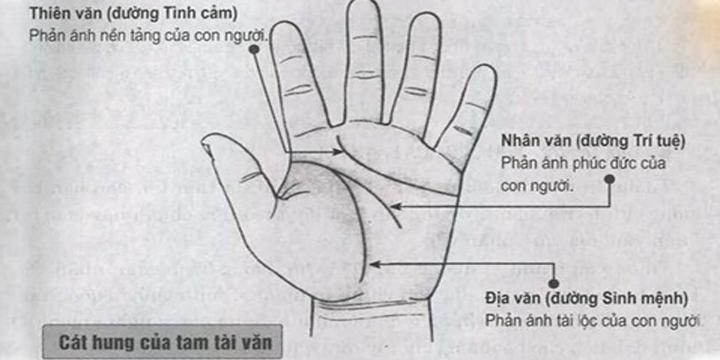 Những đường chỉ tay cơ bản và đường chỉ tay hiếm | Bói Tử Vi