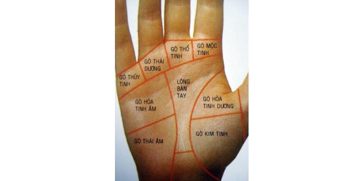 Vị trí và ý nghĩa các gò có trên lòng bàn tay | Bói Tử Vi