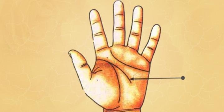 Xem chỉ tay đường công danh, sự nghiệp | Bói Tử Vi