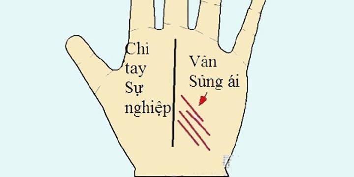 Xem đường vân tay Sủng ái | Bói Tử Vi