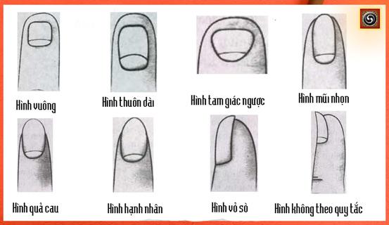 Xem bói, cổng trời thu nhỏ trên móng tay | Bói Tử Vi