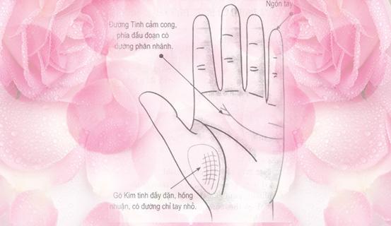 Tướng tay của người có được tình yêu hạnh phúc | Bói Tử Vi