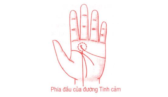 Xem bói tình yêu và tính cách qua tướng tay nam giới | Bói Tử Vi