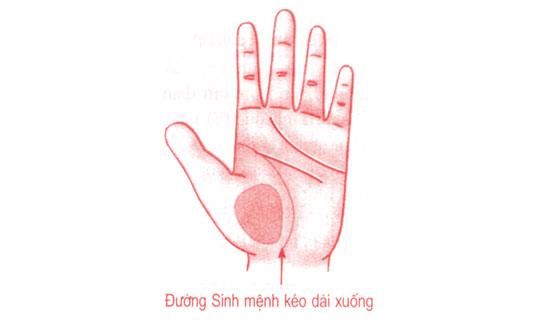Xem bói tình yêu và tính cách qua tướng tay nam giới | Bói Tử Vi