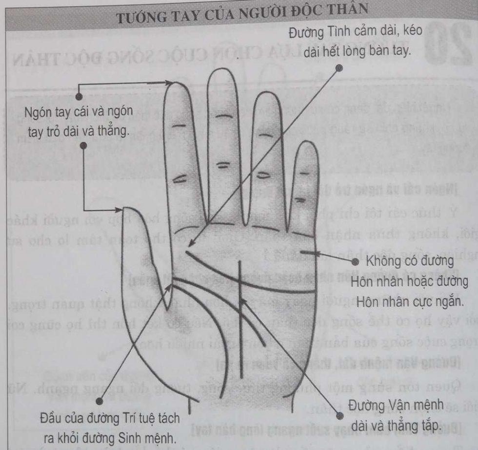 Xem Tướng tay lựa chọn cuộc sống độc thân | Bói Tử Vi