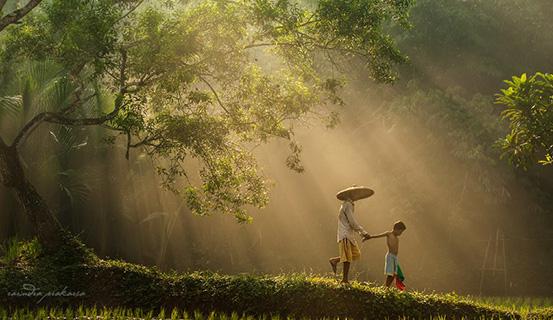 Tử vi trọn đời 2014 Tân Mùi (nam) | Bói Tử Vi