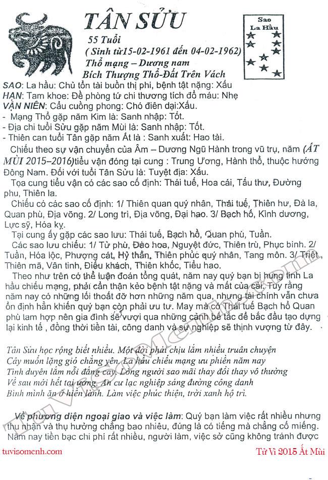 Tử vi 2015 tuổi Tân Sửu nam mạng chi tiết | Bói Tử Vi