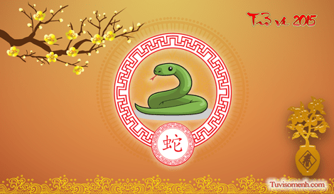 Tử vi 2015 tuổi Tị sơ lược | Bói Tử Vi