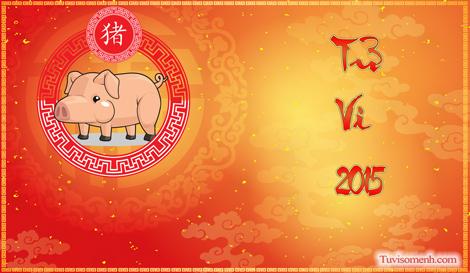 Tử vi 2015 tuổi Hợi sơ lược | Bói Tử Vi