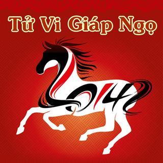 Cách xem vận năm 2014 của bạn trong lá số tử vi (phần 1) | Bói Tử Vi