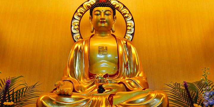 vợ có những nét tướng | Bói Tử Vi