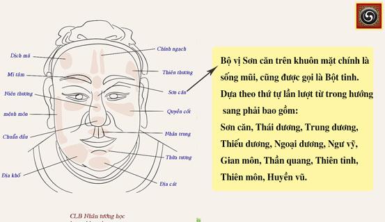 Đặc điểm Sống mũi chỉ ra Bạn là người như thế nào | Bói Tử Vi