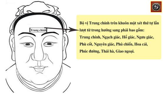 Có phải lông mày dài có tướng làm quan? | Bói Tử Vi