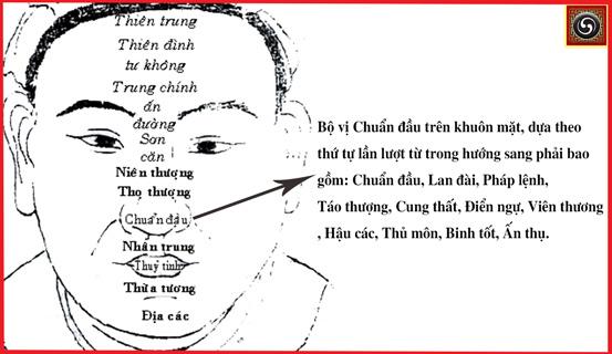 Xem tướng mặt người tuổi thọ cao | Bói Tử Vi