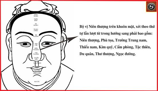 Xem tướng mặt đoán cát hung vợ chồng | Bói Tử Vi