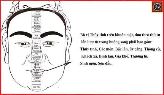 Bạn sẽ biết mình kinh doanh như thế nào. | Bói Tử Vi