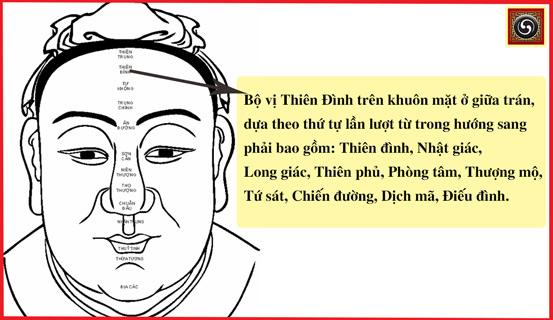 Tướng mặt làm quan hiển hách | Bói Tử Vi