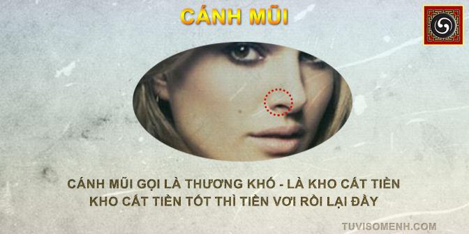 Tướng mũi tổng quan xem bói qua tướng mũi | Bói Tử Vi