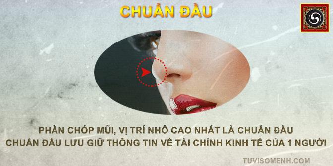 Tướng mũi tổng quan xem bói qua tướng mũi | Bói Tử Vi