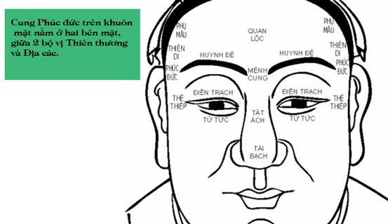 Xem tướng mặt ở Cung Phúc đức | Bói Tử Vi