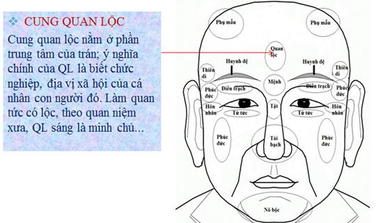 Xem tướng mặt ở Cung Quan lộc | Bói Tử Vi