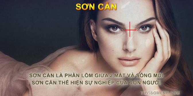 Tướng mũi tổng quan xem bói qua tướng mũi | Bói Tử Vi