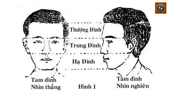 Xem tướng Tam đình trên mặt | Bói Tử Vi