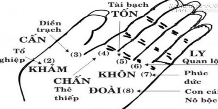 Xem tướng tay và tướng mặt chi tiết, biết ngay vận mệnh cả đời | Bói Tử Vi