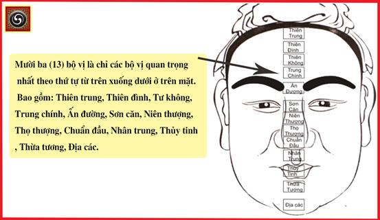 Xem tướng qua 13 bộ vị khuôn mặt | Bói Tử Vi
