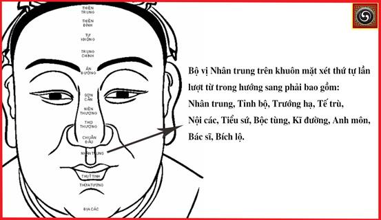 Xem tướng mặt bộ vị nào để biết tuổi thọ dài ngắn | Bói Tử Vi