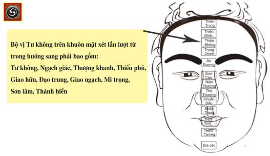 Không được làm quan nếu khuôn mặt có đặc điểm này. | Bói Tử Vi